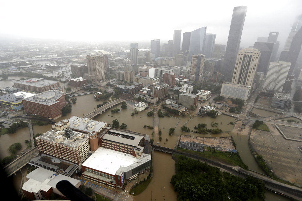 Harvey